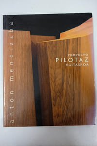 Proyecto Pilotaz Egitasmoa