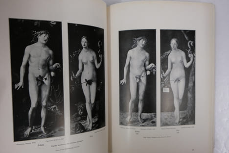 Les classiques de l'art Dürer peintures, cuivres et bois en 473 reproductions. Albrecht Dürer