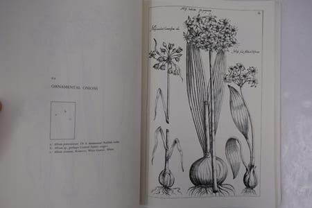 Early Floral Engravings - All 110 Plates from the 1612 "Florilegium"