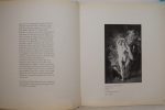 Watteau et les femmes. Sollers, Philippe et Patrick Violette
