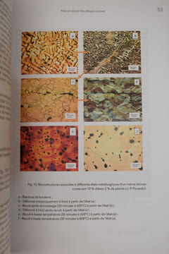 Quatre mille ans d'histoire du cuivre: Fragments d'une suite de rebonds. Pernot, Michel