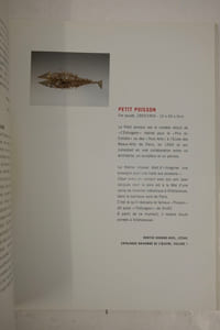 Cesar L'instinct du fer. 1946/1966 Des premieres sculptures aux compressions.
