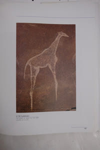 San. Art rupestre d'Afrique austral