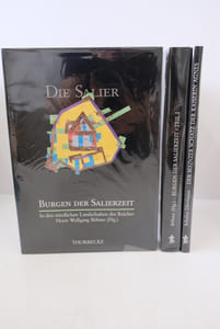Burgen der Salierzeit : In den nördlichen und südlichen Landschaften des Reiches. - Der Mainzer Schatz der Kaiserin Agnes : Neue Untersuchungen zum sogenannten Gisela-Schmuck (3 Band)
