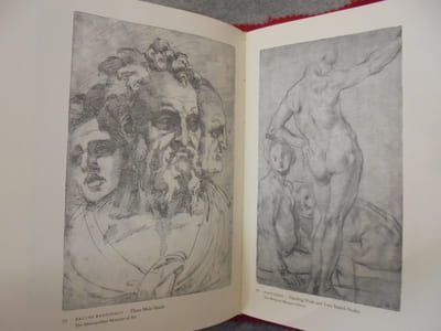 Drawings From New York Collections I: the Italian Renaissance (Exhibition Book From the Metropolitan Museum of Art, 1965)