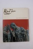 Rodin. TAILLANDIER Yvon
