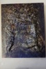 Die Welt der Migofs. BERNARD SCHULTZE