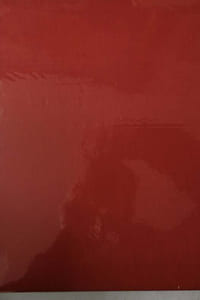 Les petits maîtres de la peinture, valeur de demain; Tome I