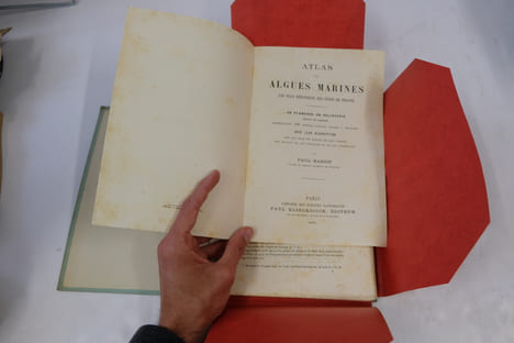 Atlas des Algues Marines les plus rpandues des Ctes de France. 48 planches en Hliotypie Tires en couleur reprsentant 108 espces d'algues faciles ...
