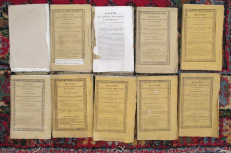 BULLETIN DES SCIENCES NATURELLES ET DE GEOLOGIE, deuxième section du bulletin universel des sciences et de l'industrie. du n°2 au n°11 (le n°5 est absent) + table des matières.