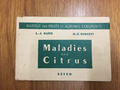 Maladie des citrus