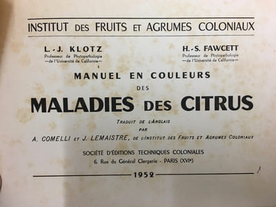 Maladie des citrus