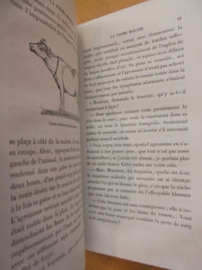 LA FERME-MODELE - L'Agriculture mise a la portée de tout le monde.