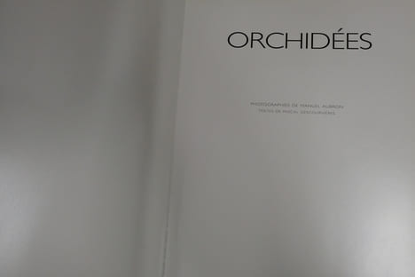 Orchidées. Pascal Descourvières