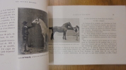 Les chevaux bretons . Bléas & Albert de Mun