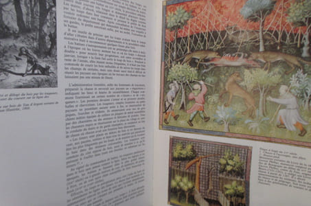 L'HOMME et LE LOUP