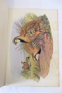 Air De Chasse