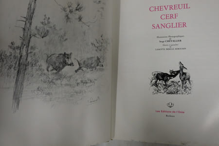 Chevreuil Cerf Sanglier