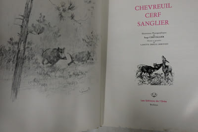 Chevreuil Cerf Sanglier