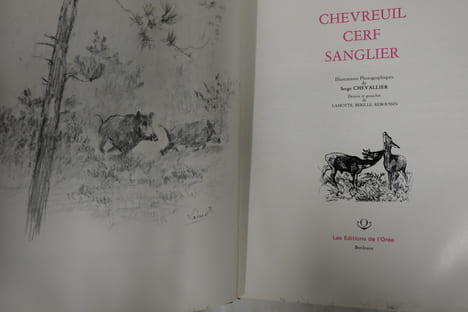 Chevreuil Cerf Sanglier. Edouard Varin