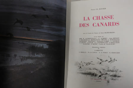 La chasse des canards