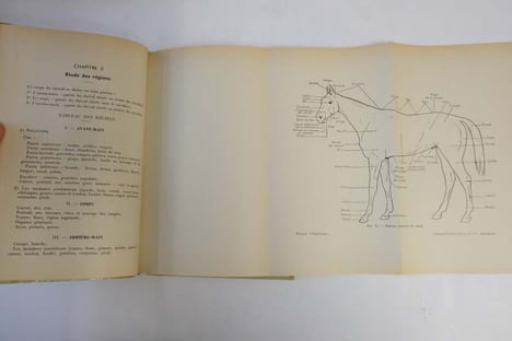 Manuel d'hippologie - Rédigé avec l'approbation de la Fédération française des sports équestres. Lieutenant-colonel Aublet