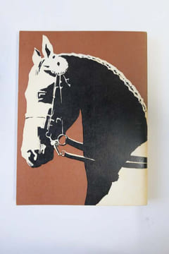 L'équitation supérieure moderne. Colonel A. Bastiani