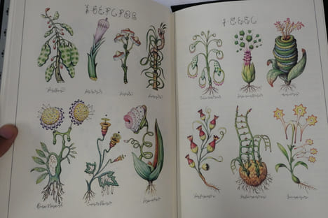 Codex Seraphinianus. Serafini Luigi