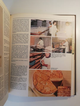 LAROUSSE DES FROMAGES. ROBERT J. COURTINE / DEBUIGNE GERARD