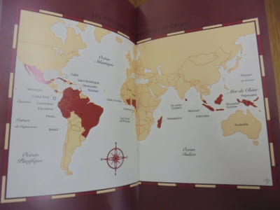 Chocolat et grands crus de cacao.