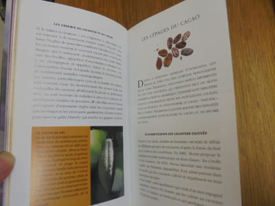 Chocolat et grands crus de cacao.