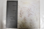 Sandro Botticelli : The Drawings for Dante's Divine Comedy. Hein-Thomas Altcappenberg