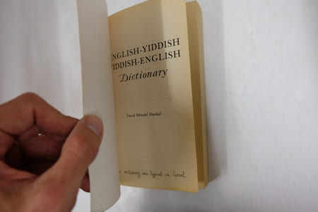 Dictionary (English-Yiddish ; Yiddish-English)