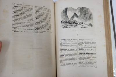 Armorial universel précédé d'un traité complet de la science du blason et suivi d'un supplément