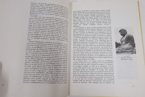 Dictionnaire des heresies dans l'eglise catholique. Hervé Masson