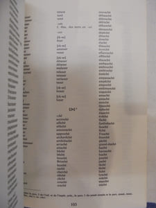 Dictionnaire des Rimes Orales et Écrites