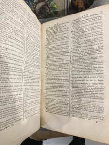 Grand dictionnaire françois et latin. Enrichi des meilleures façons de parler en l'une et l'autre langue ; avec des notes de critique et de grammaire.