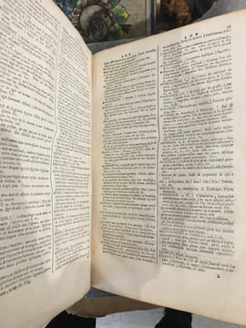 Grand dictionnaire françois et latin. Enrichi des meilleures façons de parler en l'une et l'autre langue ; avec des notes de critique et de ...