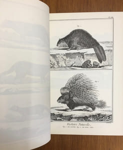 L'Encyclopédie - Recueil de planches sur les sciences, les arts libéraux et les arts méchaniques, avec leurs Explications