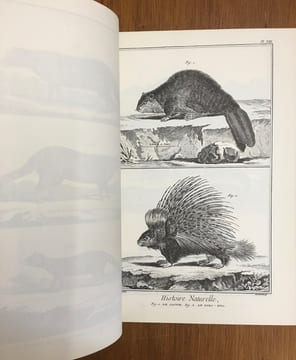 L'Encyclopédie - Recueil de planches sur les sciences, les arts libéraux et les arts méchaniques, avec leurs Explications. Diderot et d'Alembert