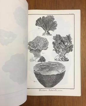 L'Encyclopédie - Recueil de planches sur les sciences, les arts libéraux et les arts méchaniques, avec leurs Explications. Diderot et d'Alembert