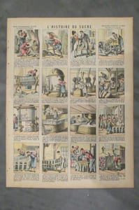 L'HISTOIRE DU SUCRE.