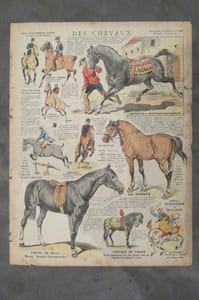 DES CHEVAUX.