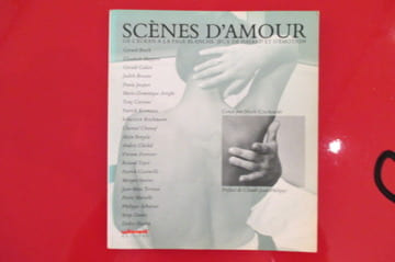 SCENES D'AMOUR, de l'écran à la page blanche, jeux de hasard et d'émotion.. Nicole Czechowski