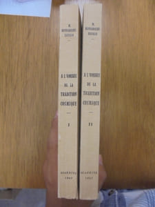 A L'OMBRE DE LA TRADITION COSMIQUE - TOME 1 et 2