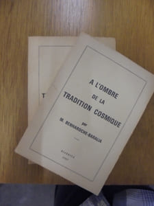 A L'OMBRE DE LA TRADITION COSMIQUE - TOME 1 et 2