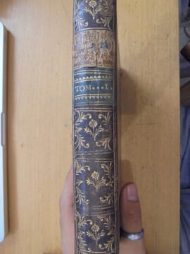 Comentarios De La Guerra De España, e Historia De Su Rey Phelipe V, El Animoso, Desde El Principio De Su Reynado, Hasta La Paz General Del Año 1725. ...