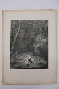 Gravures de Gustave Doré : Contes de Charles Perrault. Gustave Doré (1832-1883)