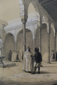 Genet teinté par Freeman