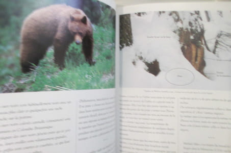 DES HOMMES ET DES OURS.